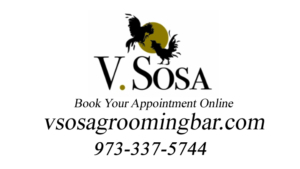 Montclair NJ Haircut